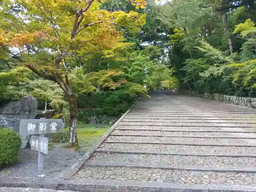 光明寺（粟生光明寺）(京都府)