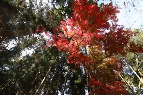 田村神社の景色