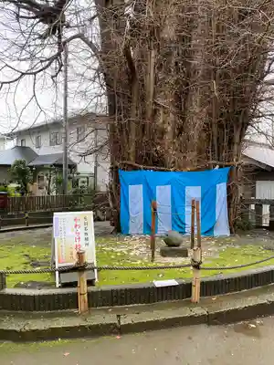 鶴嶺八幡宮(神奈川県)