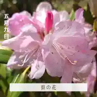 壽徳寺 じゅとくじの自然