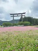 大斎原(熊野本宮大社旧社地)の{uncategorized: "未分類", other: "その他", undefined: "問題あり", building: "その他建物", grave: "お墓", sacred_gate: "鳥居", guardian: "狛犬", statue: "像", buddha: "仏像", history: "歴史", nature: "自然", garden: "庭園", animal: "動物", pagoda: "塔", temizu: "手水舎", mountain_gate: "山門・神門", sanctuary: "本殿・本堂", subordinate: "末社・摂社", art: "芸術", scenery: "景色", jizo: "地蔵", ema: "絵馬", goshuin: "御朱印", omikuji: "おみくじ", items: "授与品その他", amulet: "お守り", goshuincho: "御朱印帳", eats: "食事", festival: "お祭り", votive_dance: "神楽", shichigosan: "七五三参", wedding: "結婚式", experience: "体験その他", initially: "初詣", around: "周辺", anti_infection: "感染症対策"}