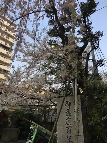 秋葉神社の自然