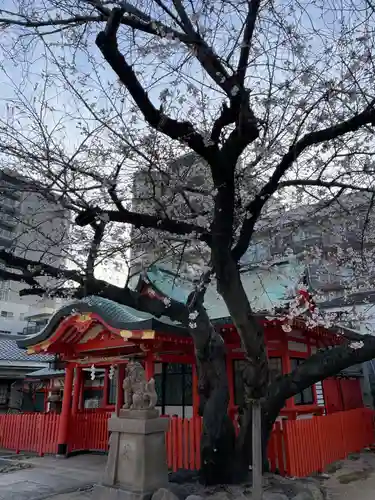 兵庫嚴島神社(兵庫県)