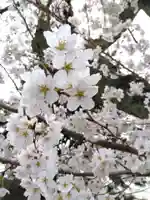 福井神社(福井県)