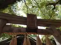 楠珺社(住吉大社末社)(大阪府)