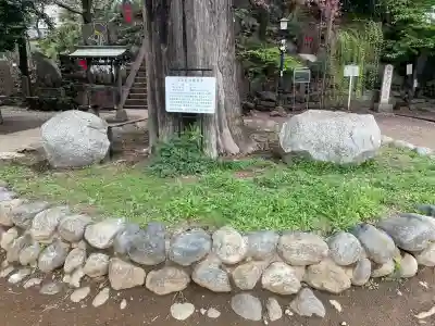 駒込富士神社(東京都)