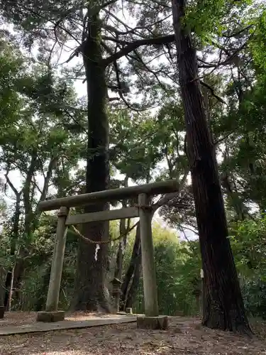 大國主神社の鳥居