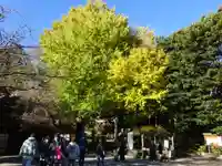 葛原岡神社の自然