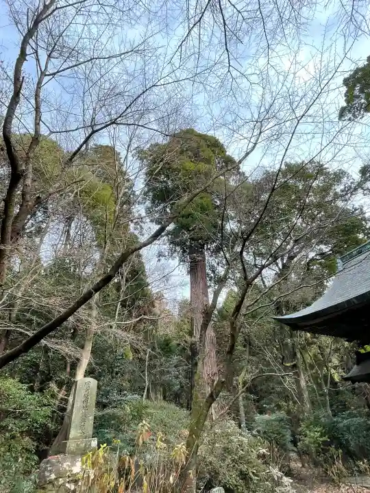 柞原八幡宮の{uncategorized: "未分類", other: "その他", undefined: "問題あり", building: "その他建物", grave: "お墓", sacred_gate: "鳥居", guardian: "狛犬", statue: "像", buddha: "仏像", history: "歴史", nature: "自然", garden: "庭園", animal: "動物", pagoda: "塔", temizu: "手水舎", mountain_gate: "山門・神門", sanctuary: "本殿・本堂", subordinate: "末社・摂社", art: "芸術", scenery: "景色", jizo: "地蔵", ema: "絵馬", goshuin: "御朱印", omikuji: "おみくじ", items: "授与品その他", amulet: "お守り", goshuincho: "御朱印帳", eats: "食事", festival: "お祭り", votive_dance: "神楽", shichigosan: "七五三参", wedding: "結婚式", experience: "体験その他", initially: "初詣", around: "周辺", anti_infection: "感染症対策"}