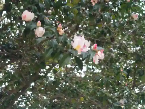 速谷神社(広島県)