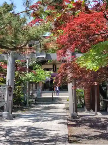 彌彦神社　(伊夜日子神社)の鳥居