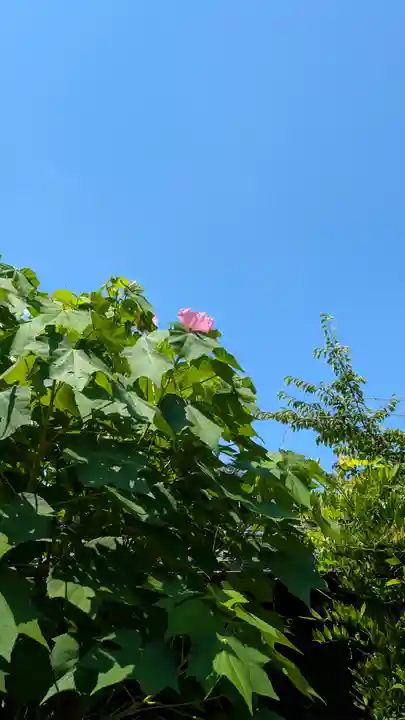 後白河院御聖蹟 法住寺(京都府)