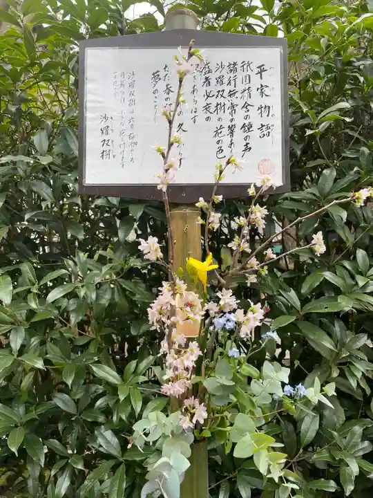 明月院(神奈川県)
