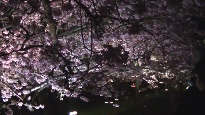 かっぱの寺 栖足寺の自然