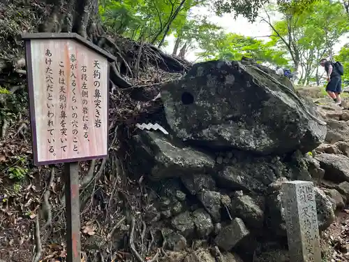 大山阿夫利神社(神奈川県)