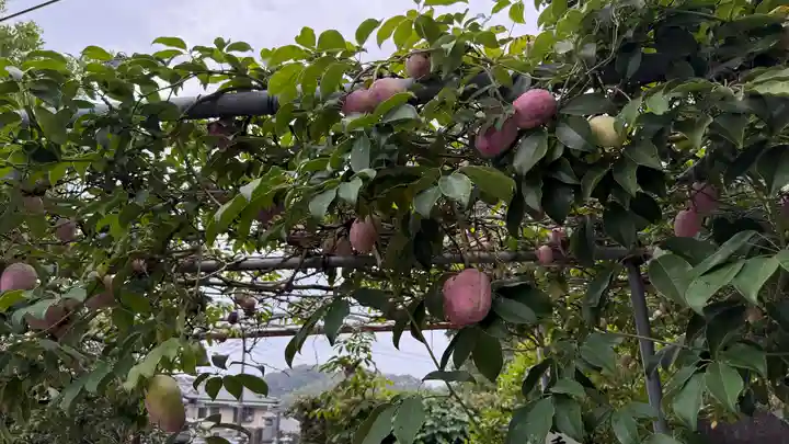 最上寺(千葉県)