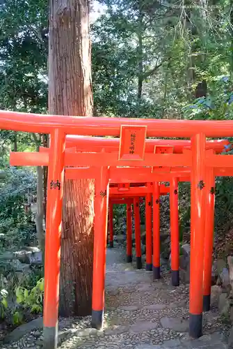 白笹稲荷神社の鳥居