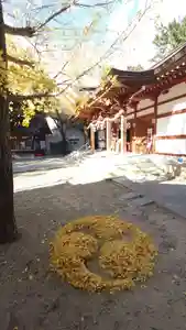 夜疑神社(大阪府)(2024年12月10日(火) 01時27分23秒投稿)