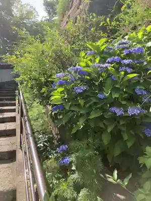 松嶺院(神奈川県)