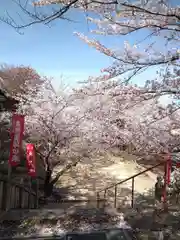 法輪寺の自然