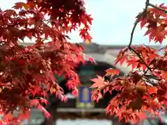 善光寺大本願(長野県)