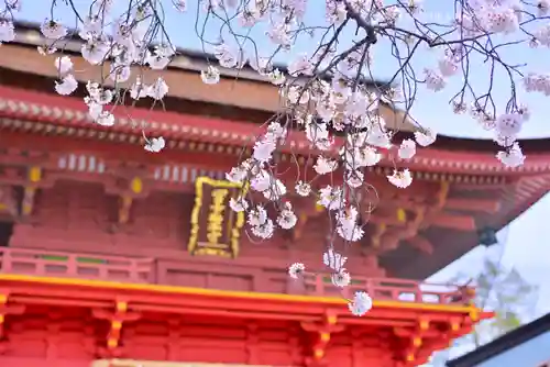 富士山本宮浅間大社(静岡県)