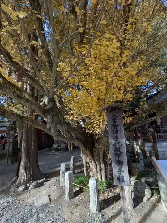 秩父神社(埼玉県)