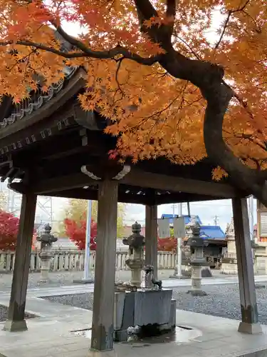 白髭神社(岐阜県)