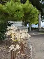 玉田神社(京都府)