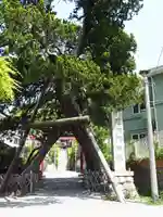 荏柄天神社(神奈川県)
