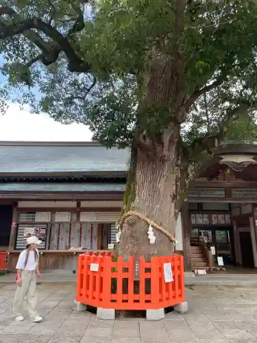 宇佐神宮(大分県)