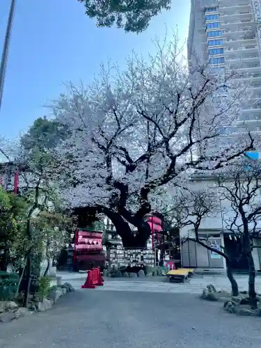居木神社(東京都)