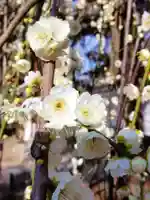 圓照寺(東京都)