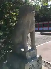 住吉神社の狛犬