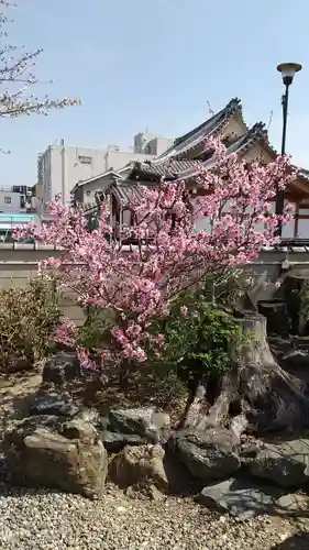 白山神社（榎白山神社）の庭園