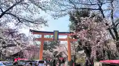 平野神社の鳥居