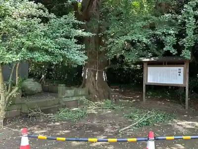 鎌数伊勢大神宮(千葉県)