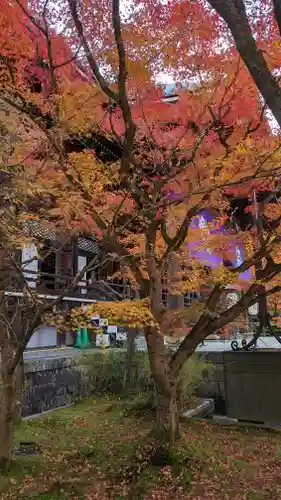 禅林寺（永観堂）(京都府)