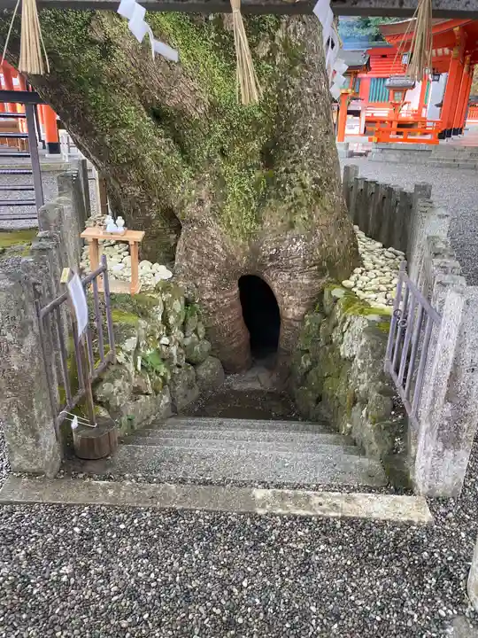 熊野那智大社の自然