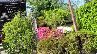 梅宮大社(京都府)