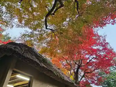 華厳寺（鈴虫寺）(京都府)
