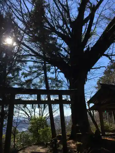 戒場神社の鳥居