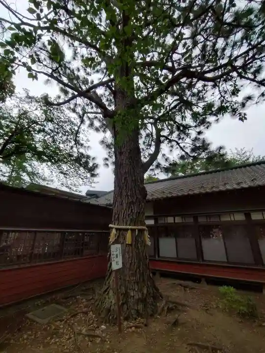 前原御嶽神社(千葉県)