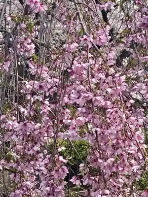 六孫王神社(京都府)