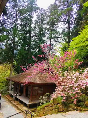 室生寺(奈良県)