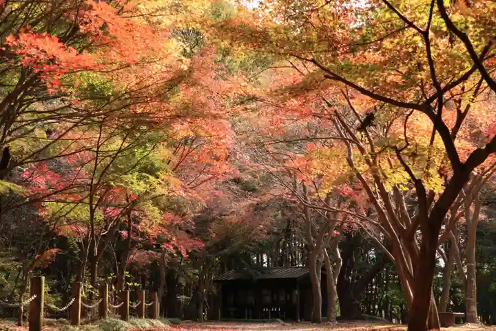 平林寺(埼玉県)