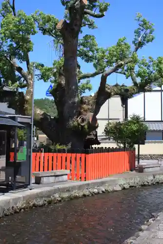 藤木社（賀茂別雷神社末社）(京都府)