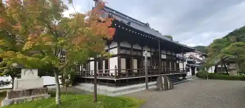 安洞院の本殿・本堂