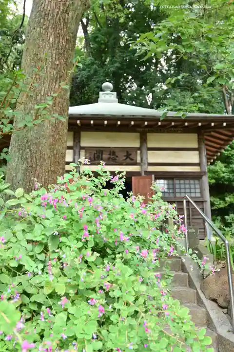 横浜 西方寺(神奈川県)