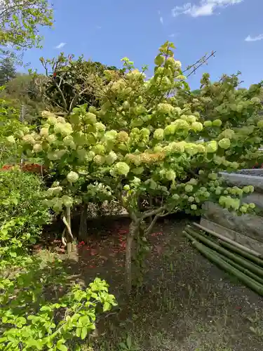 西光寺(神奈川県)